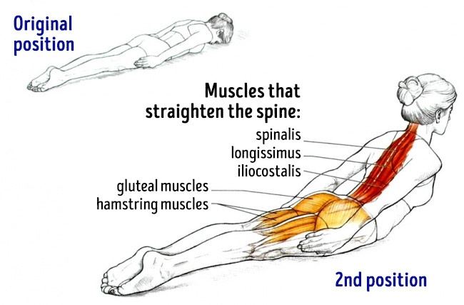 Exercises For Posture and Back Pain Relieve