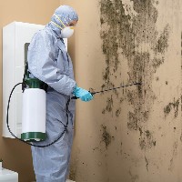 Burlington Mold Removal