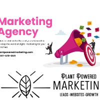 Digital marketing agency